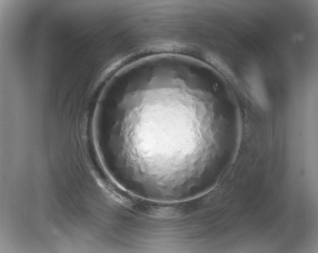 X0000081600058200701221147