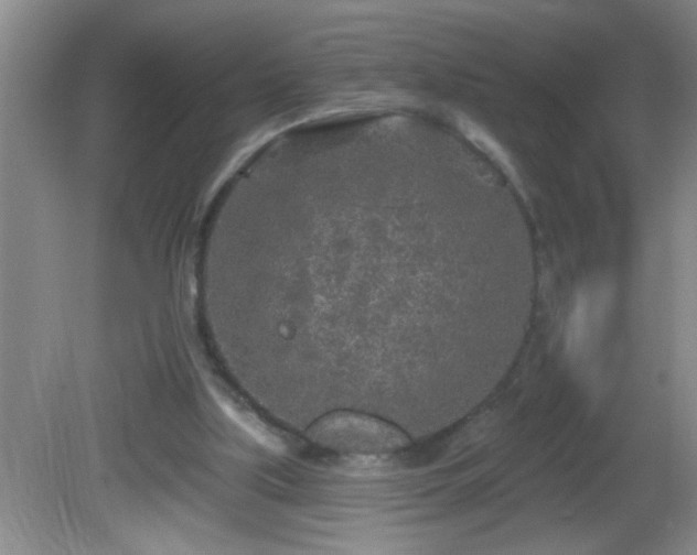 X0000081600059200701221147