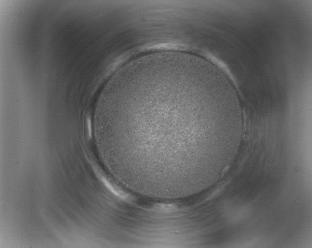 X0000081600061200701221147