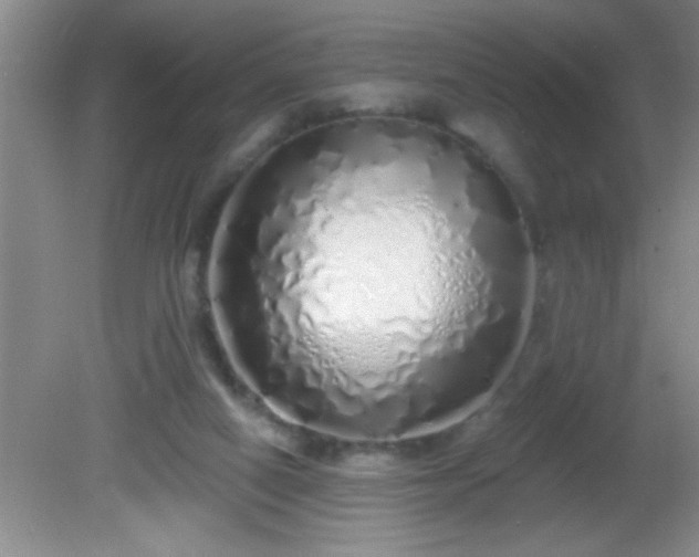 X0000081600066200701221147