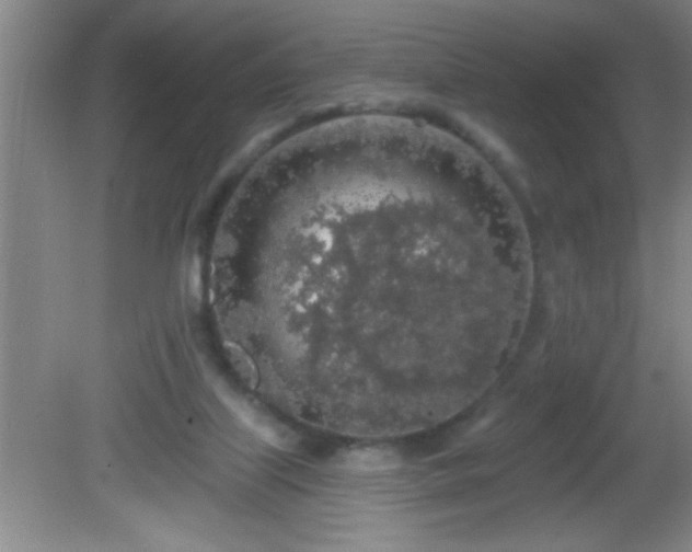 X0000081600067200701221147