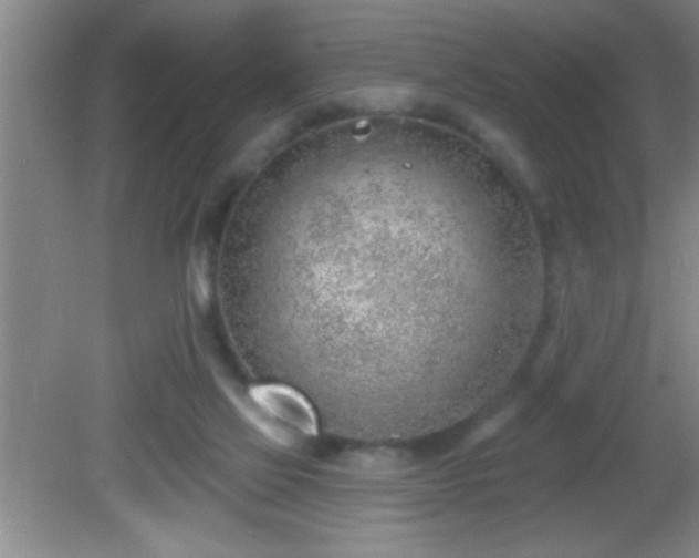 X0000081600069200701221147