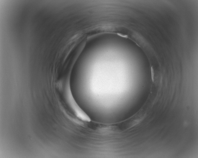 X0000081600072200701221147