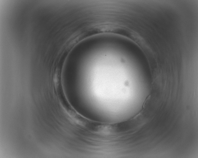 X0000081600074200701221147