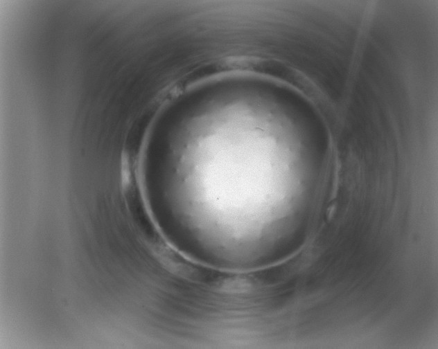 X0000081600075200701221147