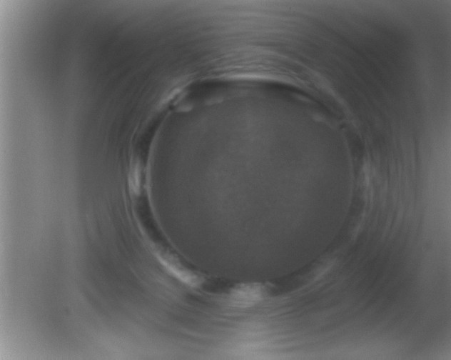 X0000081600076200701221147