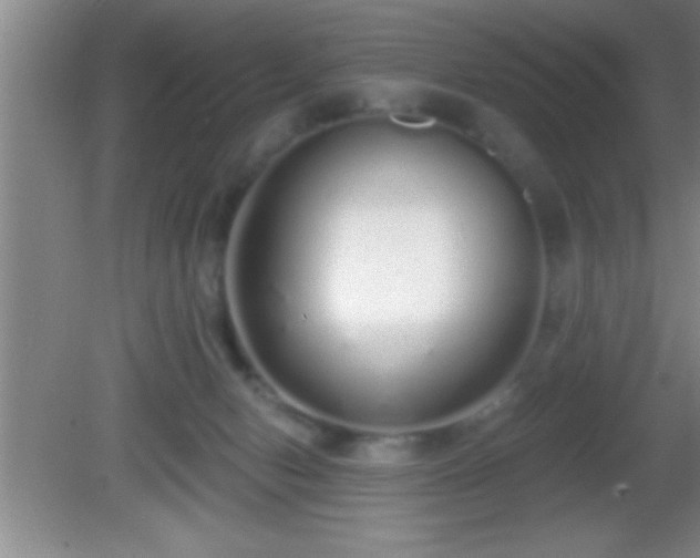 X0000081600078200701221147