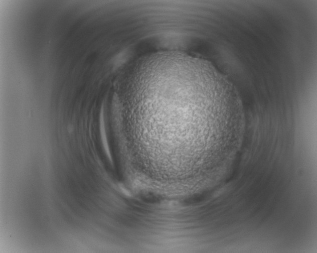 X0000081600080200701221147