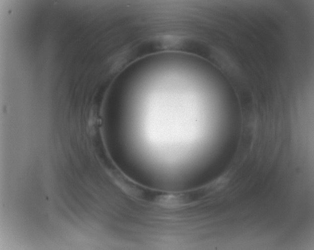 X0000081600082200701221147