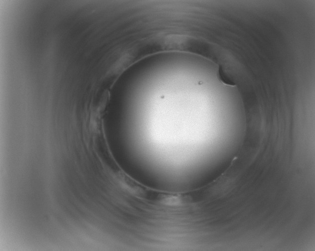 X0000081600083200701221147