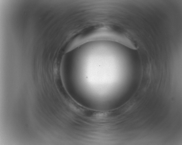 X0000081600084200701221147