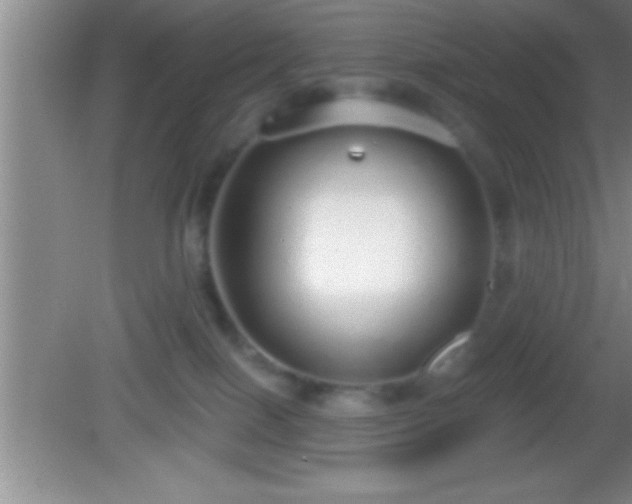 X0000081600086200701221147