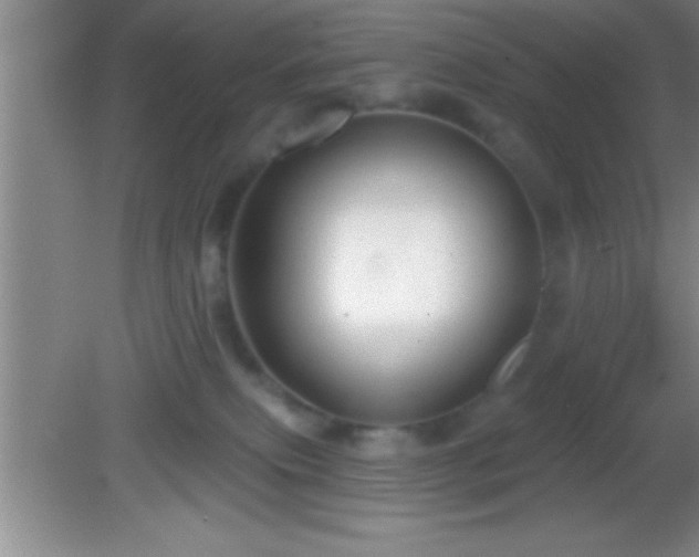 X0000081600087200701221147