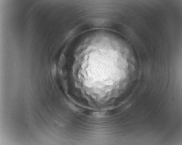 X0000081600089200701221147