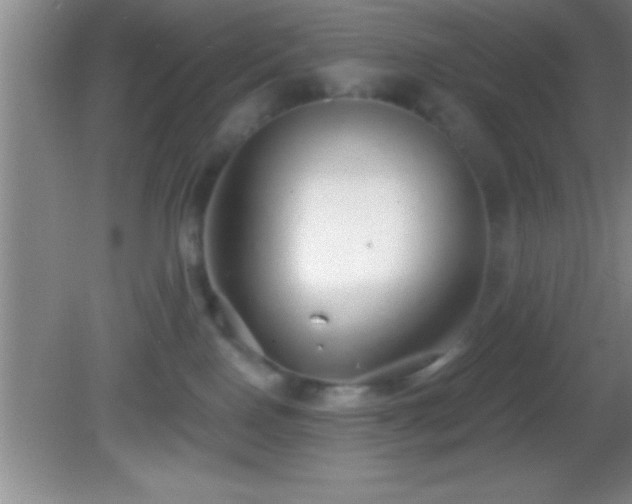 X0000081600090200701221147