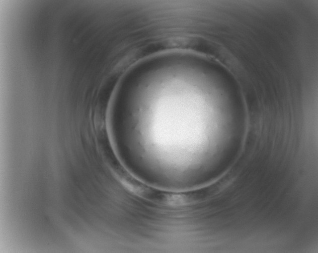 X0000081600091200701221147