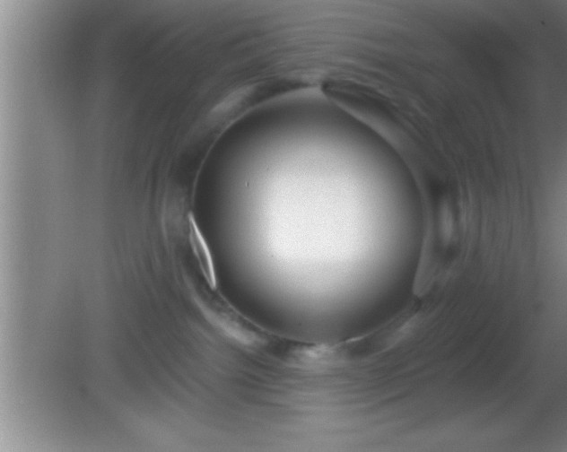 X0000081600092200701221147