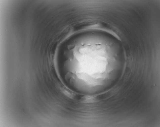 X0000081600093200701221147