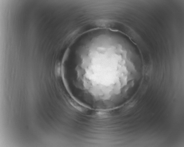 X0000081600095200701221147