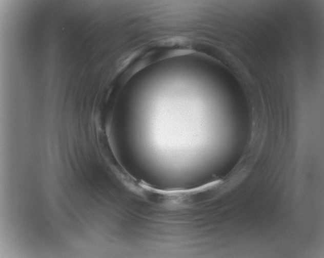 X0000081600096200701221147