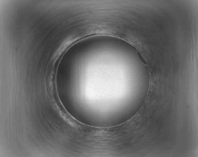 X0000081600098200701221147