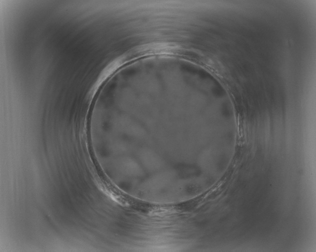 X0000081600099200701221147