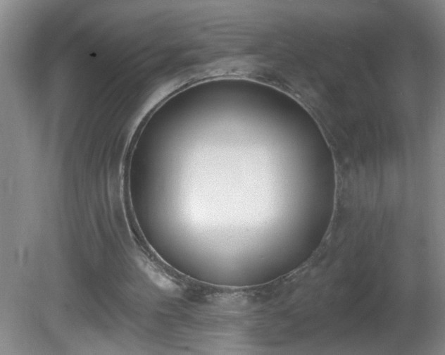 X0000081600100200701221147