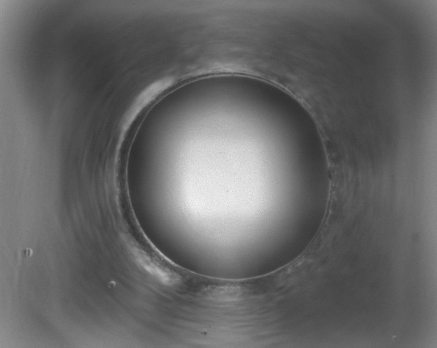 X0000081600104200701221147