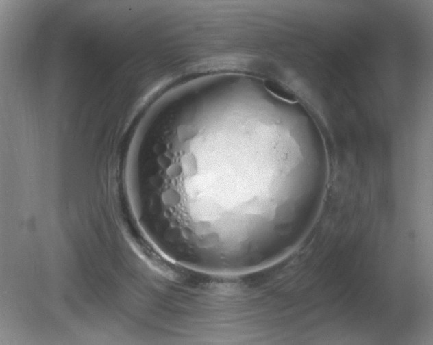 X0000081600107200701221147