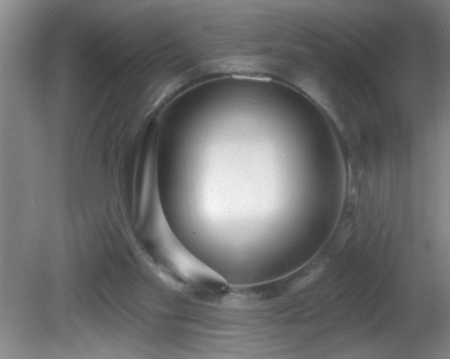 X0000081600109200701221146