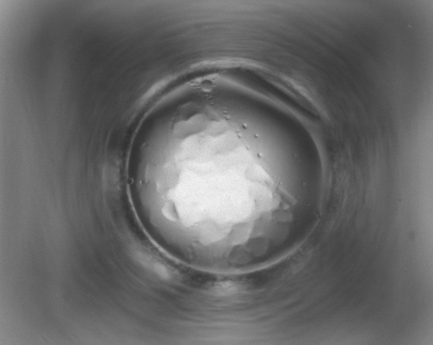 X0000081600111200701221146