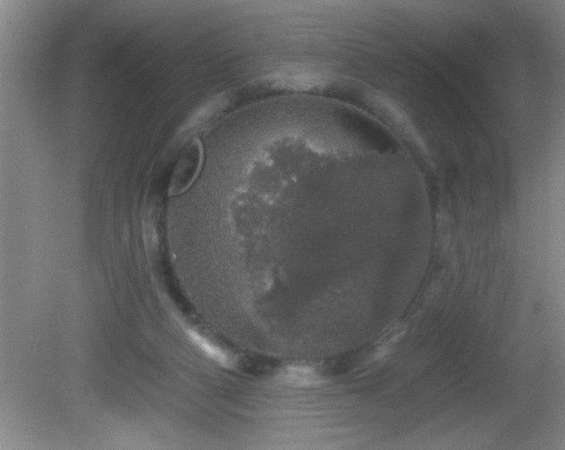 X0000081600114200701221146