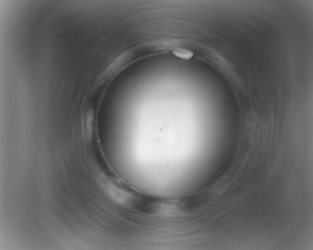 X0000081600118200701221146