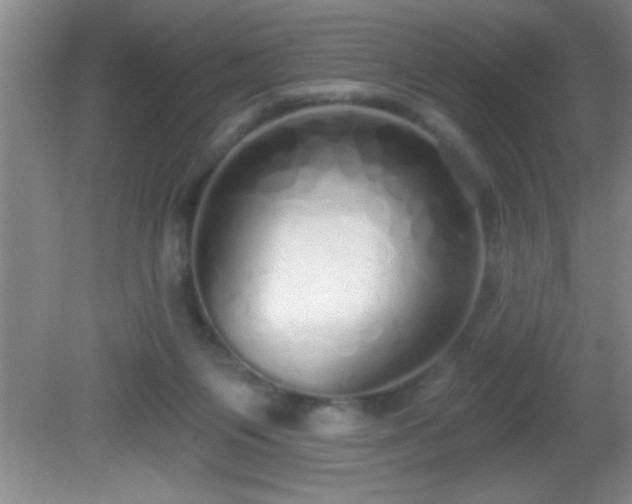 X0000081600119200701221146