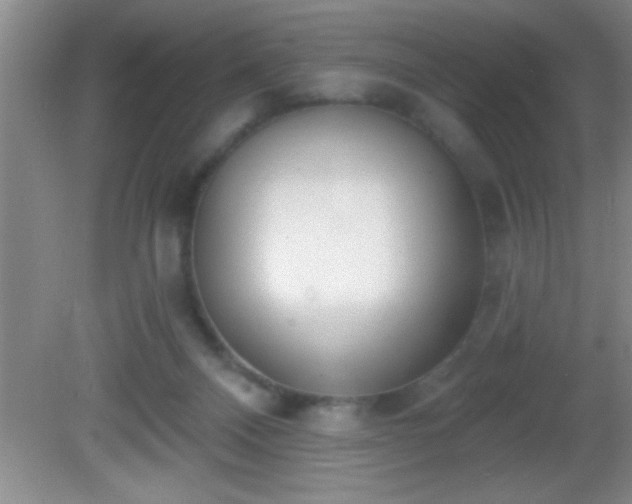 X0000081600120200701221146