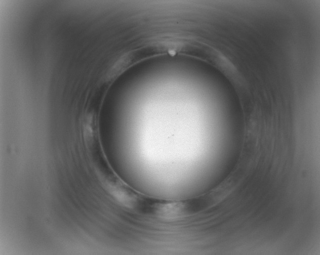 X0000081600122200701221146