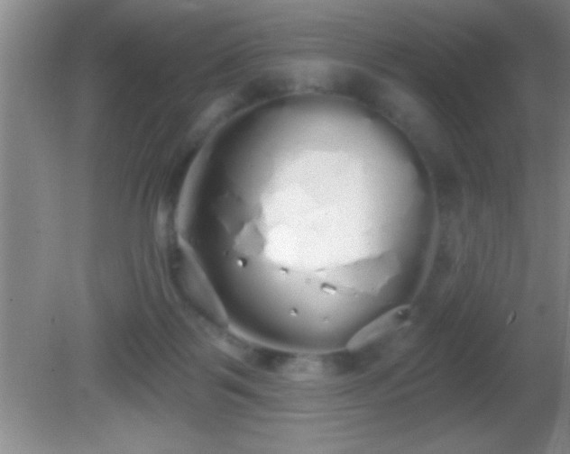 X0000081600123200701221146