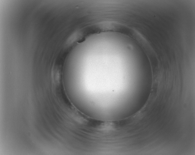 X0000081600124200701221146