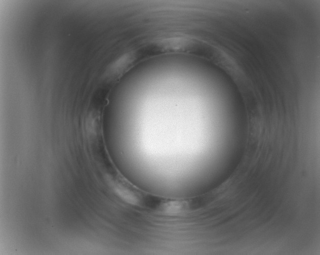 X0000081600126200701221146