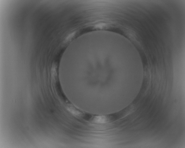 X0000081600127200701221146