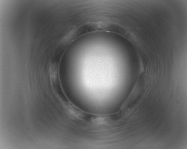 X0000081600129200701221146