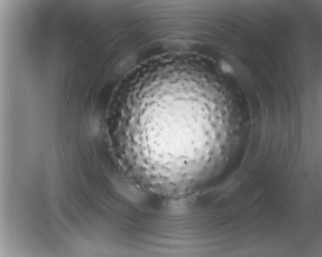 X0000081600134200701221146