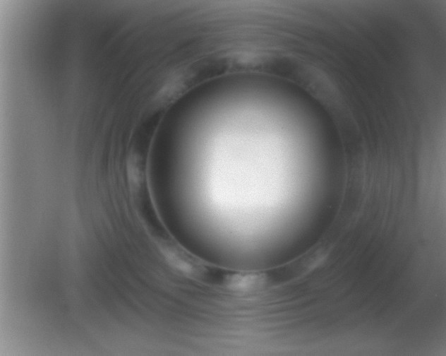 X0000081600135200701221146