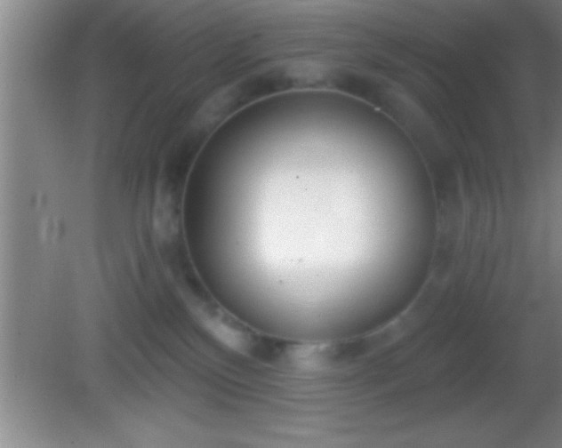 X0000081600136200701221146