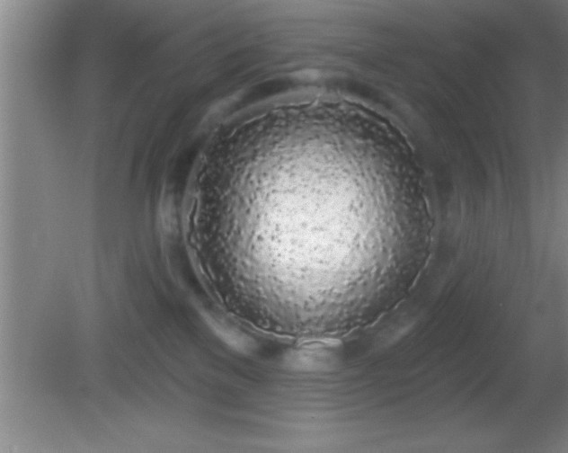 X0000081600137200701221146