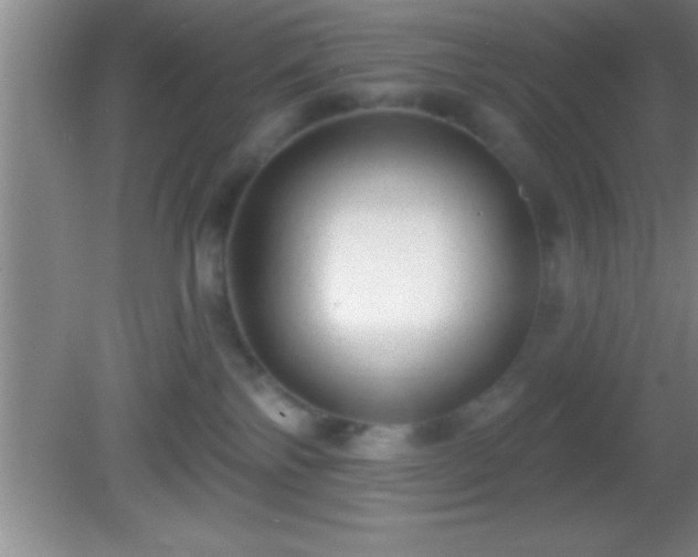 X0000081600138200701221146