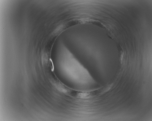 X0000081600139200701221146