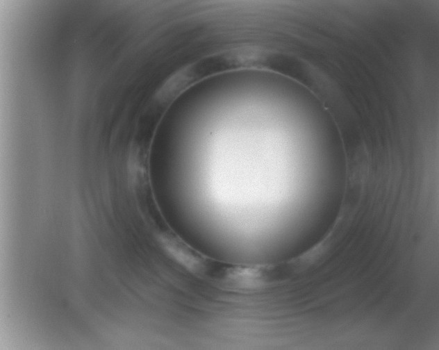 X0000081600140200701221146