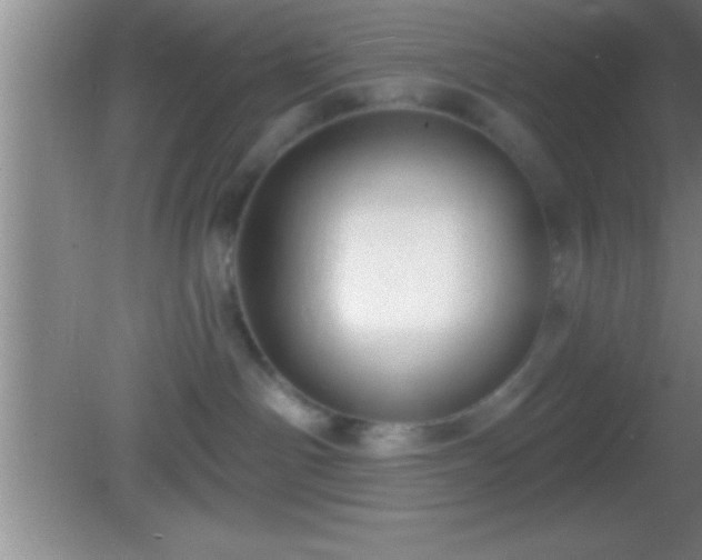 X0000081600142200701221146