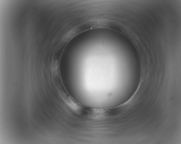 X0000081600144200701221146